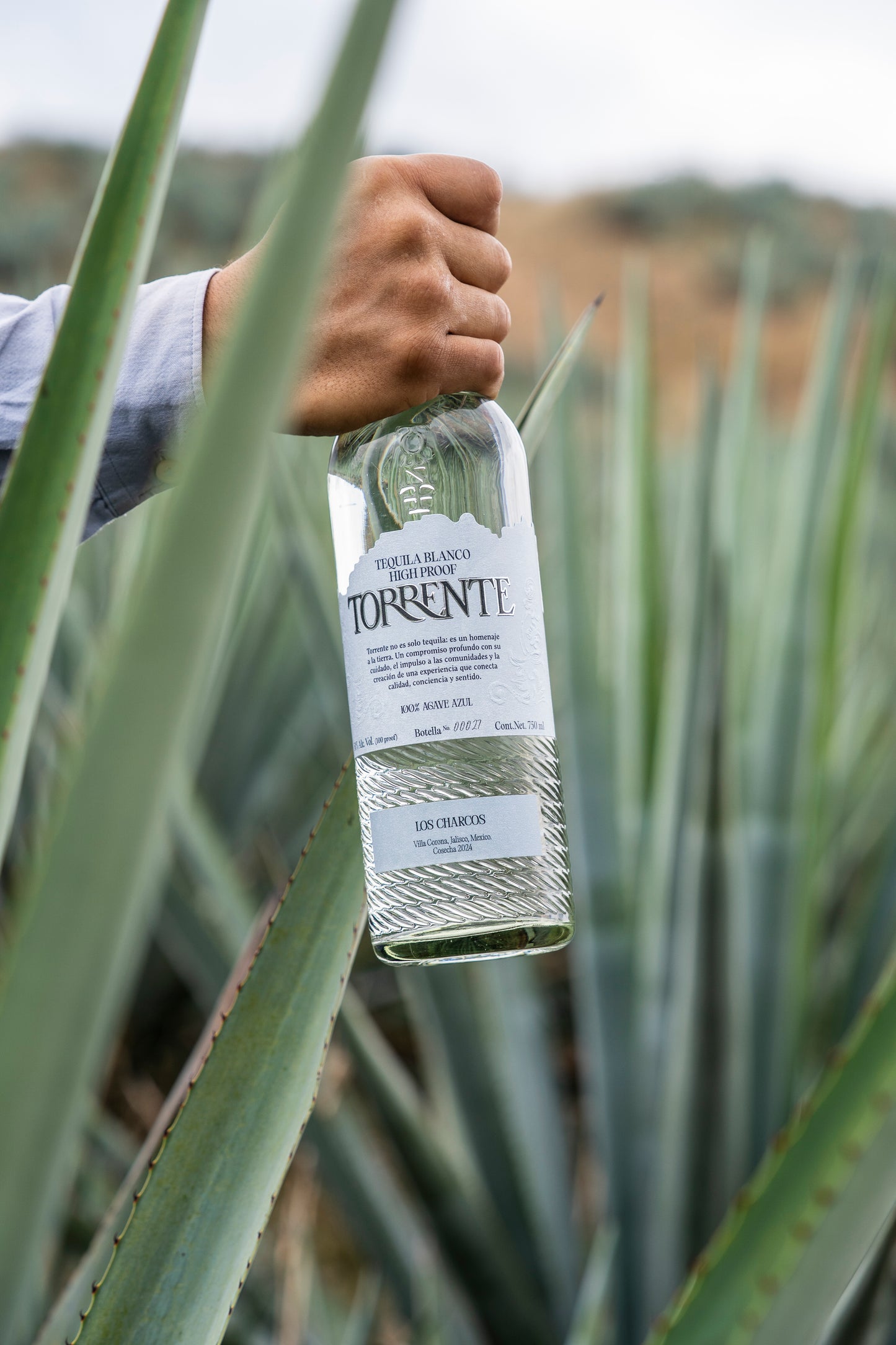 Tequila Torrente High Proof Blanco 750 Ml