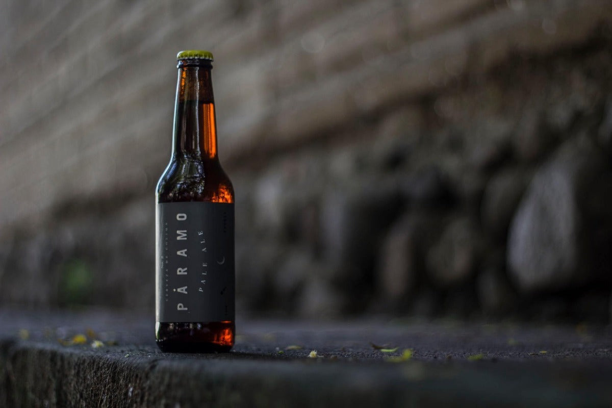 Cerveza Artesanal Paramo Pale Ale 355ml