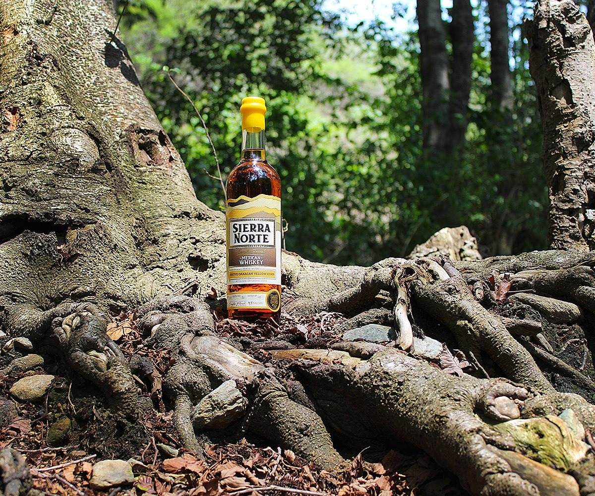 Whiskey Oaxaqueño Sierra Norte Maíz Amarillo 750ml