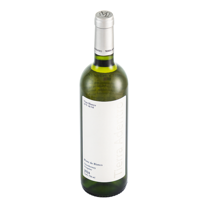 Vino Blanco Tierra Adentro Blanc de Blancs 750 Ml
