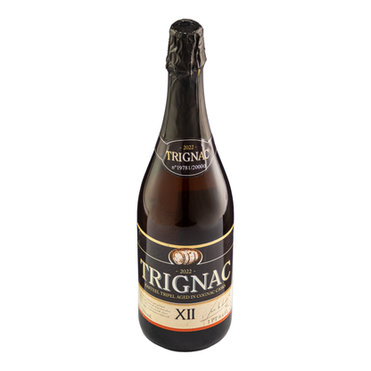 Cerveza Kasteel Trignac 750 Ml
