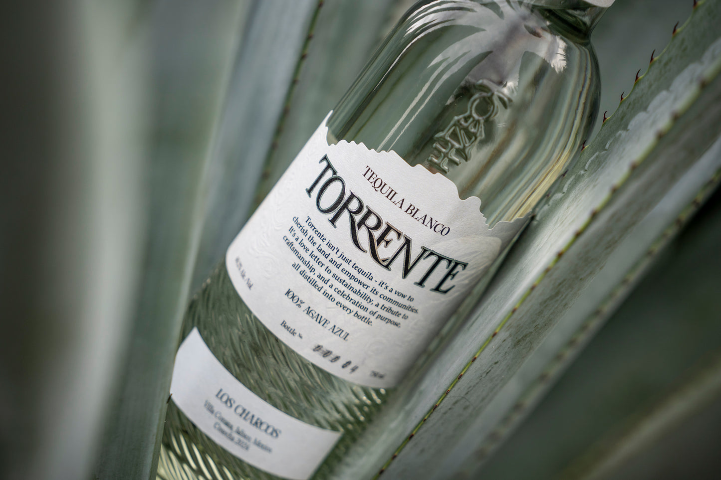 Tequila Torrente Blanco 750 Ml